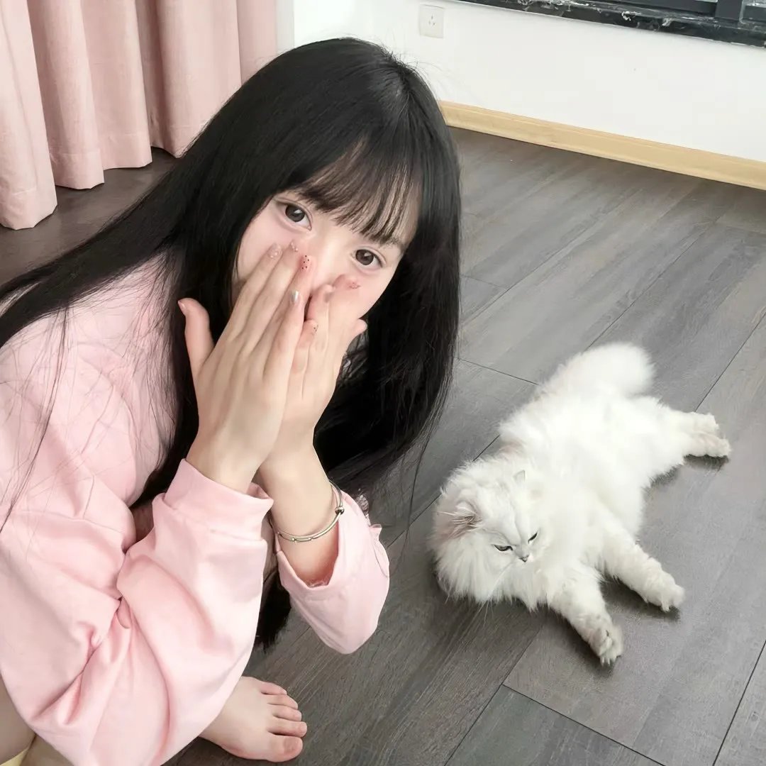 恣女木