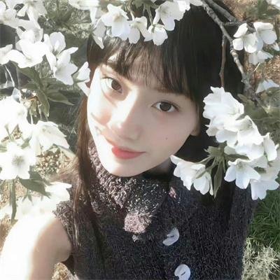 蠢蛋进化论